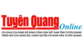 Tư vấn chiếu sáng nhà thi đấu cầu lông đạt chuẩn bằng đèn LED HALEDCO