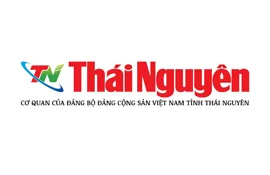 Nâng cao hiệu quả sản xuất từ việc lựa chọn đèn chiếu sáng nhà xưởng đúng cách