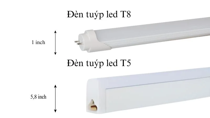 Bóng T5 và T8 khác nhau về kích thước