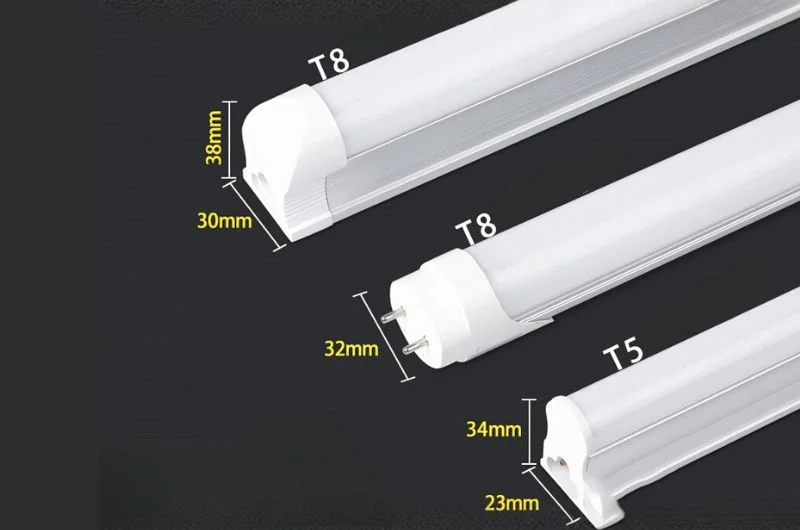 So sánh chiều dài bóng T5 và T8
