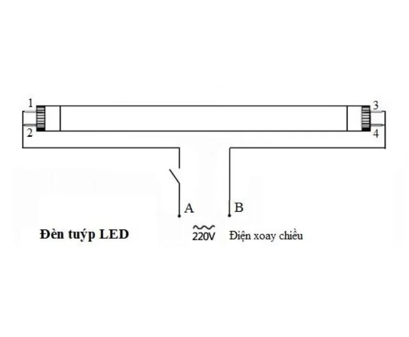 Cách lắp bóng đèn tuýp đôi đơn giản