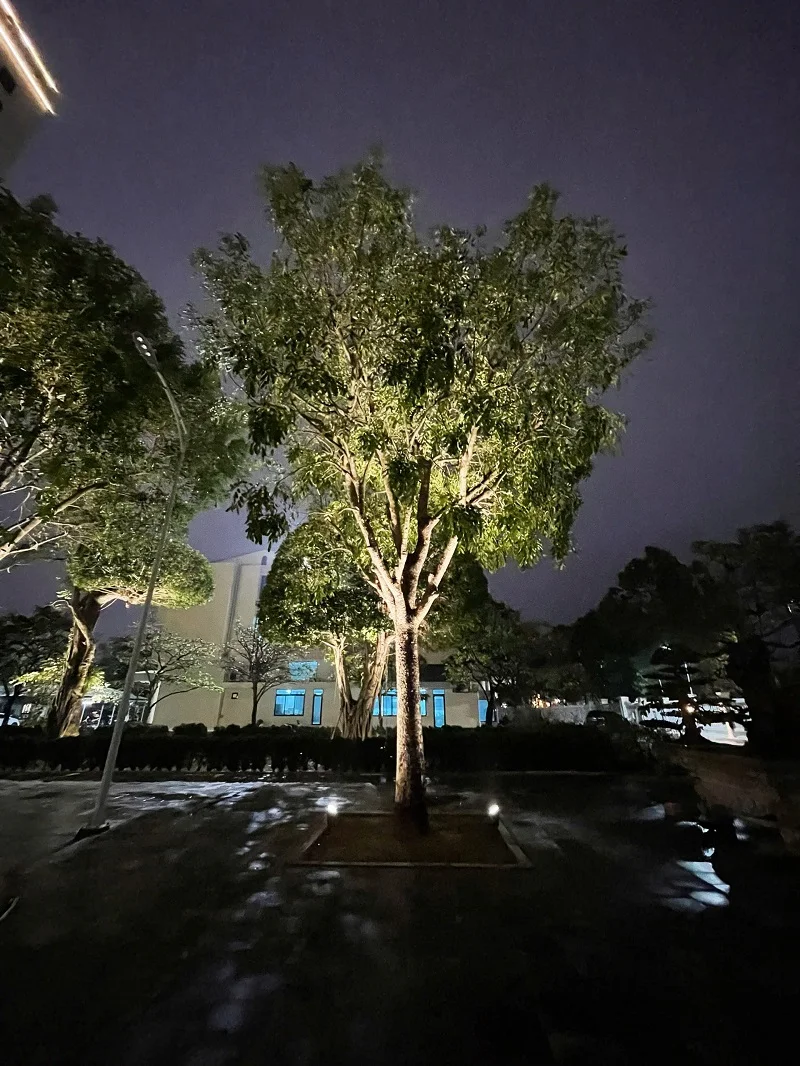 Đèn chiếu cây HALEDCO trang trí nổi bật