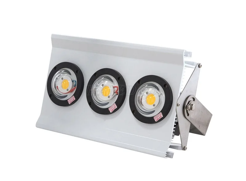 Đèn đánh cá mắt trâu