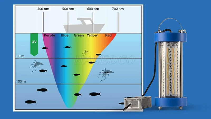 Đèn thả ngầm thu hút cá dưới biển
