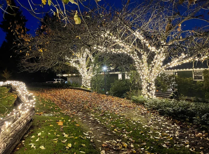 LED dây quấn cây chống nước đẹp lung linh