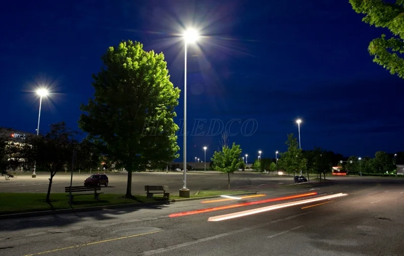 Đèn chiếc lá 50w chiếu sáng công viên