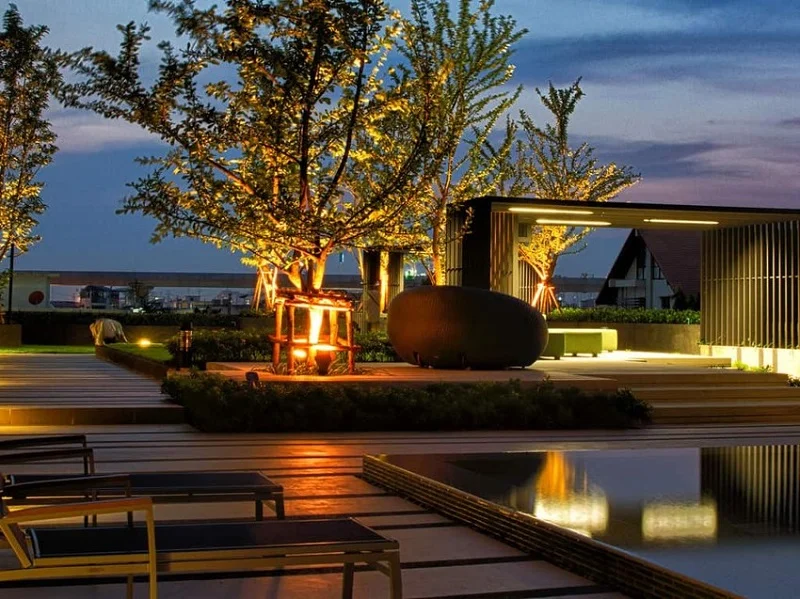 Hiệu ứng ánh sáng đèn hắt trang trí cây cảnh trong khuôn viên ngoài trời