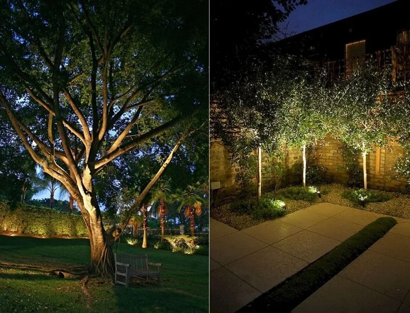 Sử dụng đèn hắt cây công suất thấp tiết kiệm điện