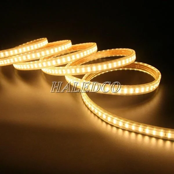 Đèn LED dây 24v chống nước IP65 loại 2835