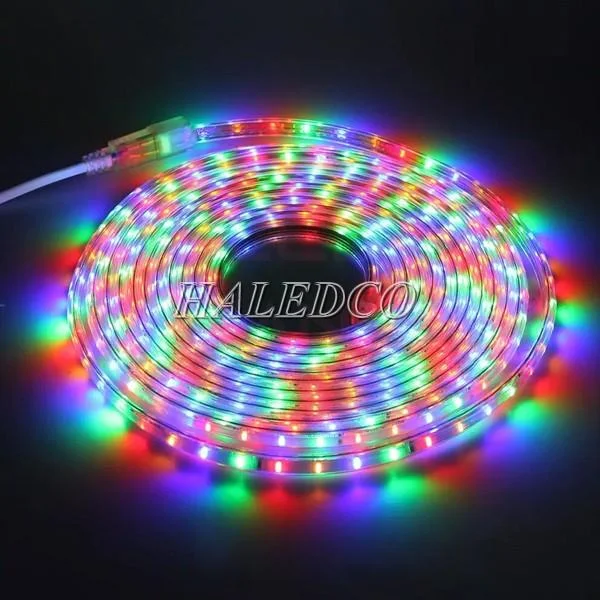 Đèn LED dây 24v chống nước IP68 5050 RGB màu sắc sặc sỡ