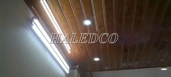 Đèn tuýp LED 2 bóng 1m2 20w hiệu suất phát quang đạt 100lm/w
