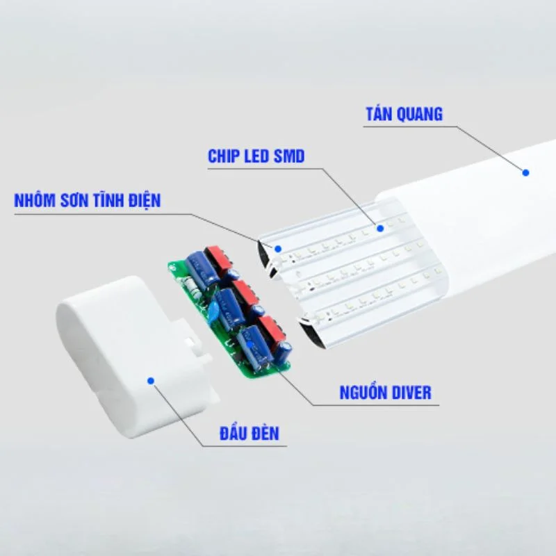 Cấu tạo đèn tuýp 60cm