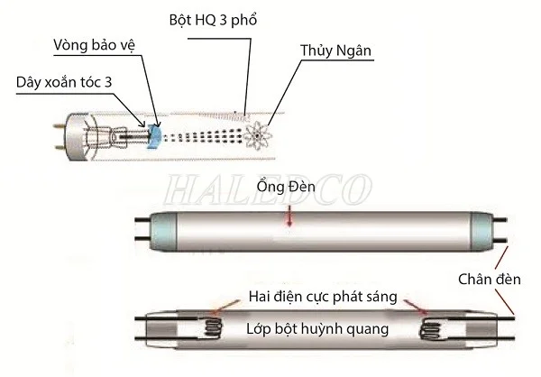 Đèn huỳnh quang là gì? Nguyên lý, cấu tạo, ưu nhược điểm