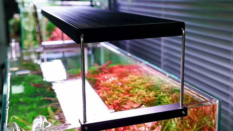 Đèn thuỷ sinh Chihiros WRGB 2 Pro