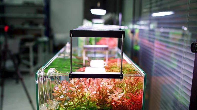 Đèn thuỷ sinh Chihiros WRGB 2