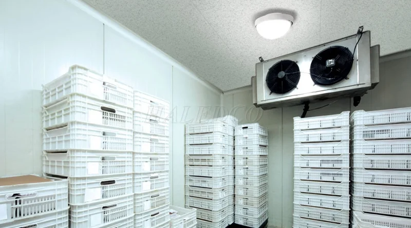 Đèn ốp trần chiếu sáng kho lạnh