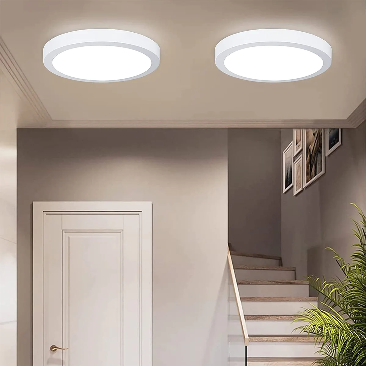 Đèn ốp trần nổi công suất 36w