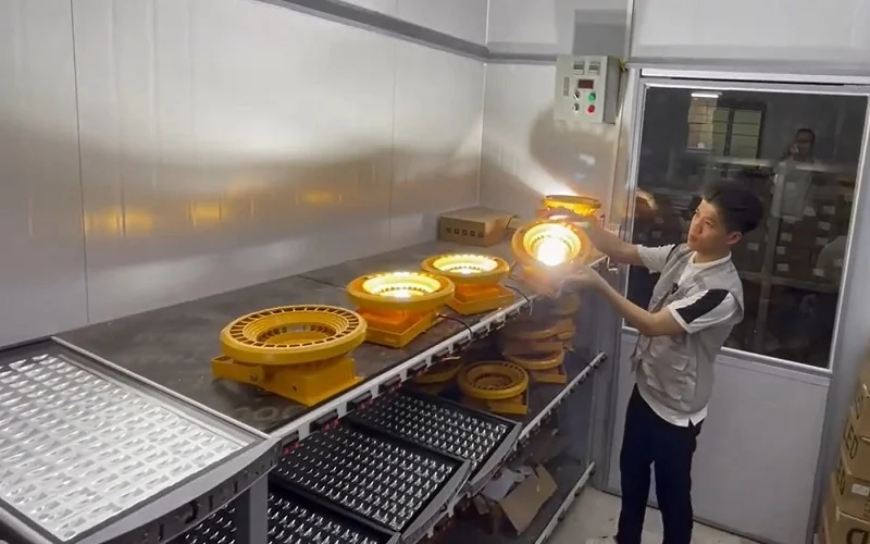 Test ánh sáng đèn chống nổ 50w