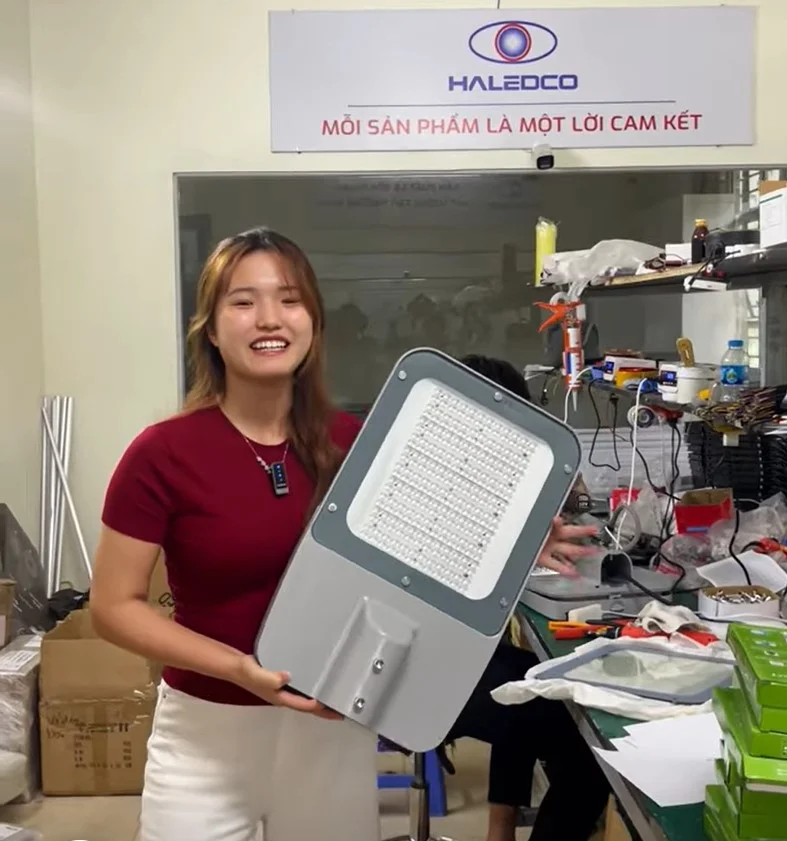 Mẫu đèn đường HLS4-120 thương hiệu HALEDCO