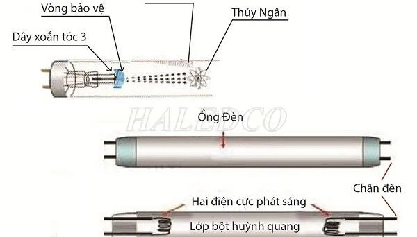 Đèn huỳnh quang là gì? Nguyên lý, cấu tạo, ưu nhược điểm