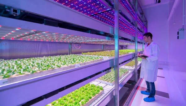 Top 9 mẫu đèn trồng cây năng lượng mặt trời