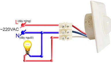 Cách đấu công tắc cảm biến ánh sáng 12V 220V dễ nhất