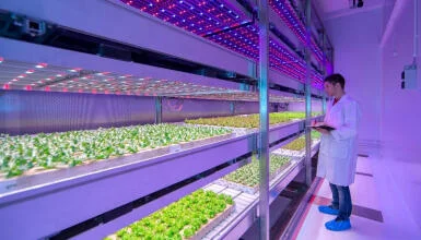 Top 9 mẫu đèn trồng cây năng lượng mặt trời