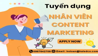 Tuyển dụng nhân viên Content SEO có từ 2 kinh nghiệm