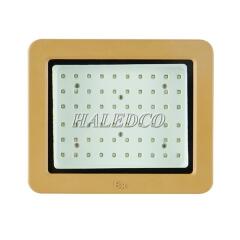 Đèn pha chống cháy nổ HLEP FL3-50W