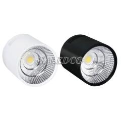 Đèn LED ốp trần ống bơ HLOT4-30W