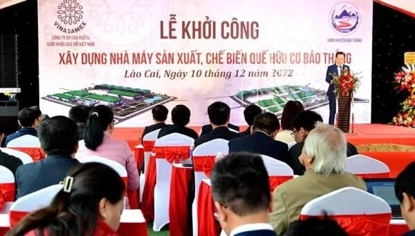 Cấp đèn nhà xưởng cho nhà máy sản xuất và chế biến quế hữu cơ Bảo Thắng