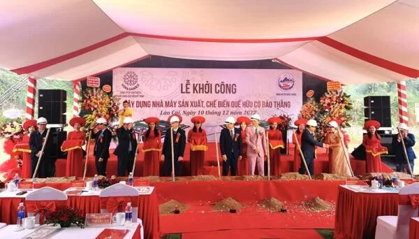 HALEDCO tiếp tục được ALPHA lựa chọn tại dự án Nhà máy quế Bảo Thắng