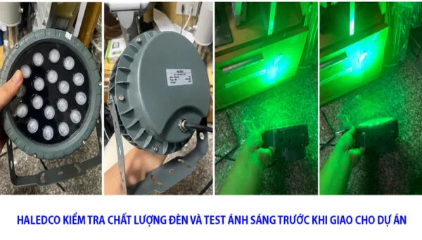 HALEDCO đồng hành cùng Song Nhi Sa Pa: Ứng dụng ánh sáng xanh trong nuôi cá tầm tại Sa Pa