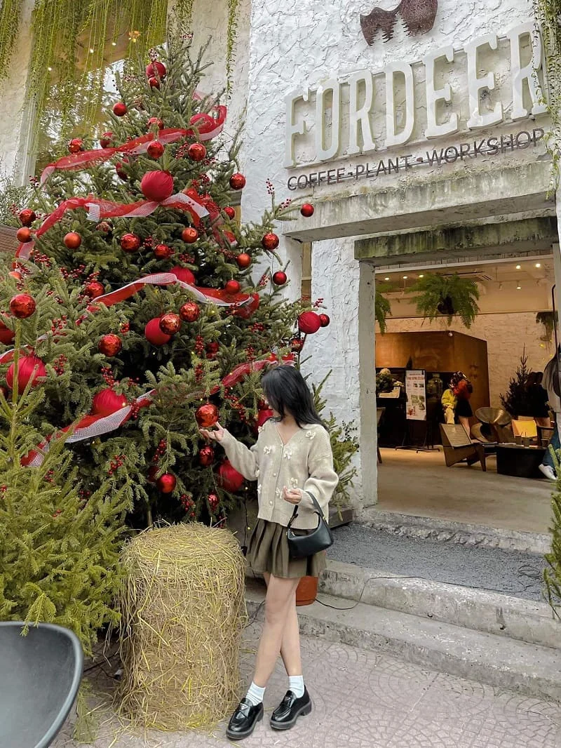 Góc check in với cây thông trước quán cafe