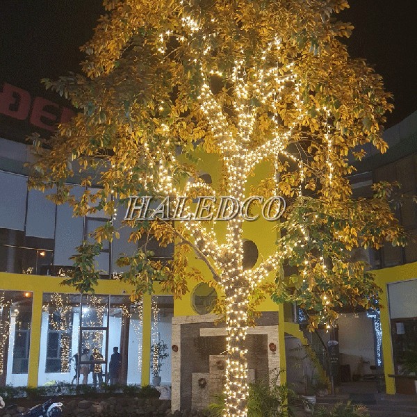 LED dây quấn cây quán cafe ngoài trời