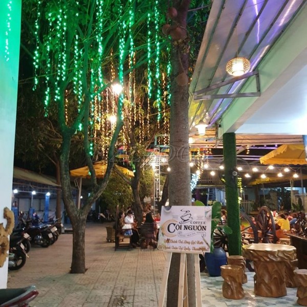 Đèn LED dây treo cây cho quán cafe ngoài trời