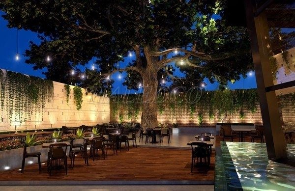 Đèn treo cây quán cafe ngoài trời đẹp