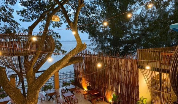 Đèn trang trí cây quán cafe ngoài trời