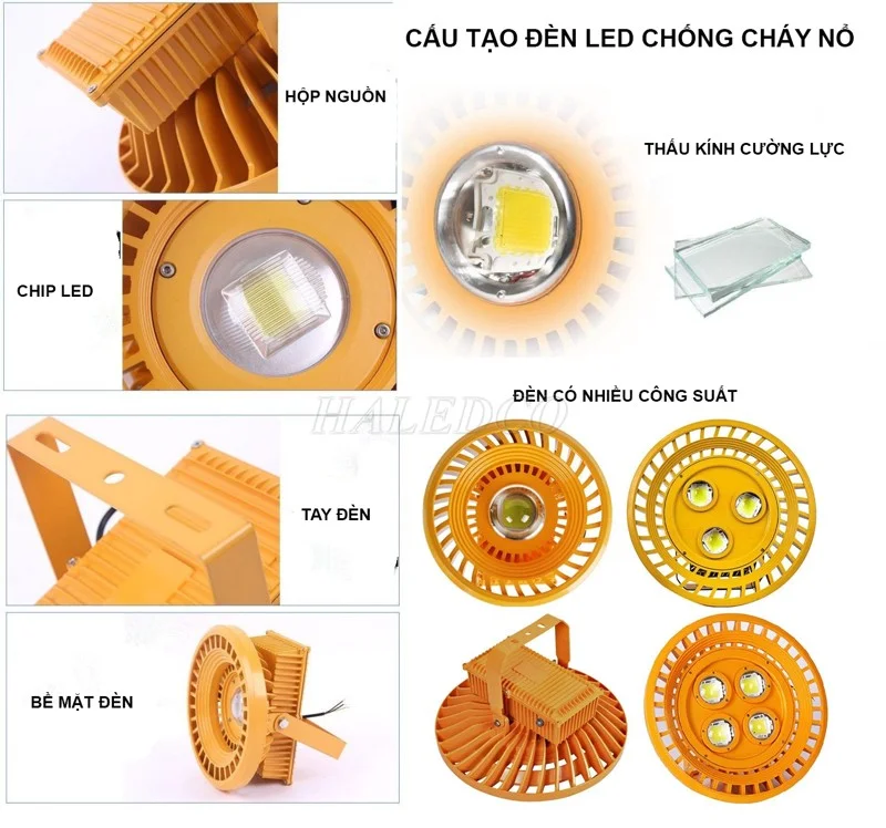 Cấu tạo chung của đèn chống cháy nổ