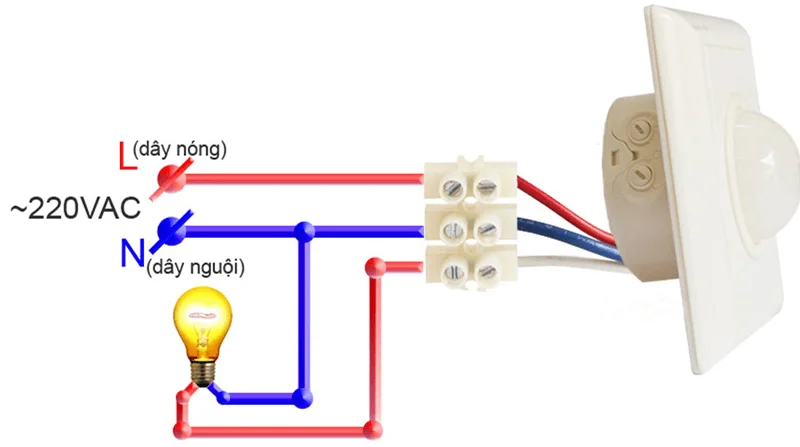 Cách đấu dây công tắc cảm biến