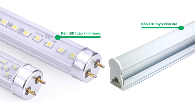 Đèn tuýp kính trong và đèn tuýp kính mờ