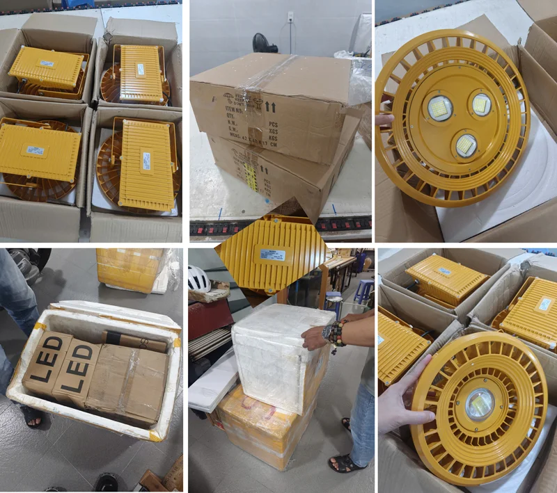 HALEDCO cung cấp đèn chống cháy nổ cho công ty quang điện Đại Á