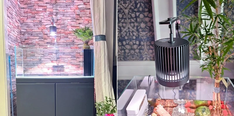 Đèn rọi bể cá mayin