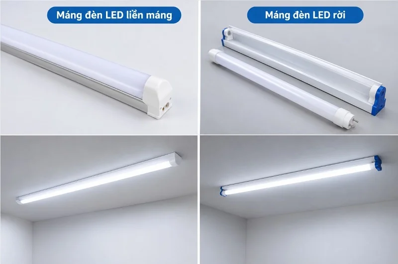 Bộ máng đèn LED liền máng và máng đèn sử dụng bóng LED rời