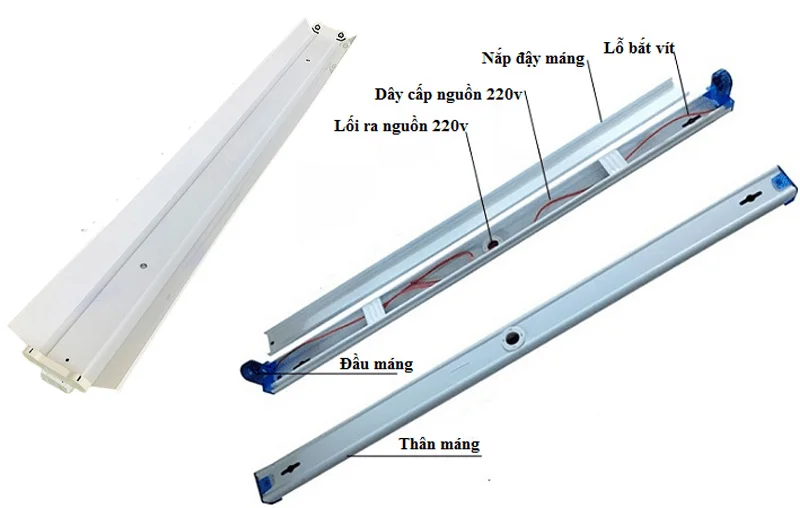 Cấu tạo máng đèn 60cm phổ thông