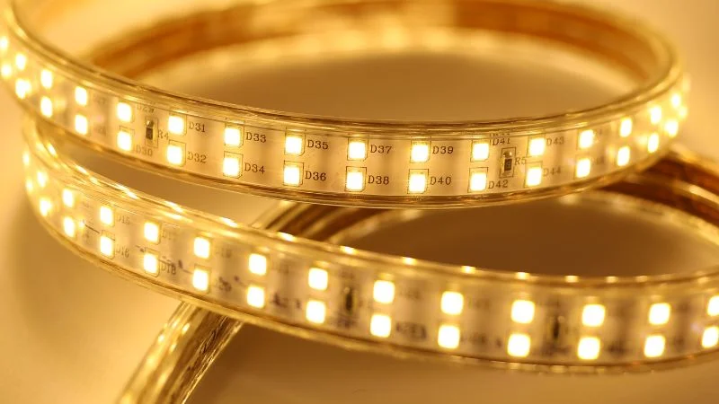 LED 2 hàng bóng 2835 cuộn 5m 12V
