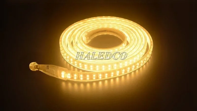 Đèn LED dây đôi 2835 cuộn 100m