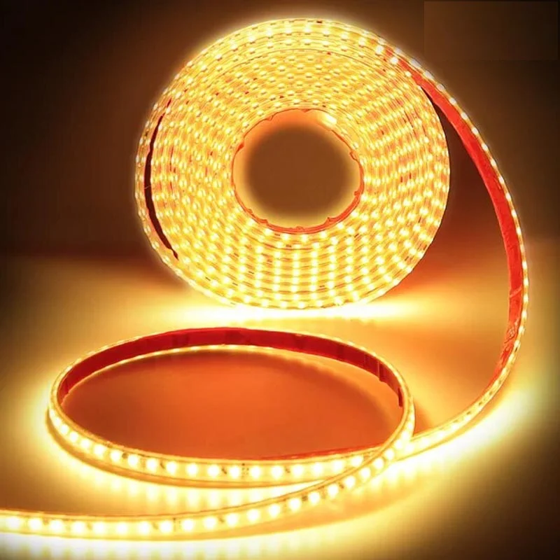 LED dây 220V 2835