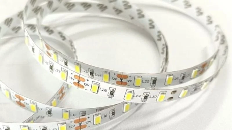 LED dây ngoài trời 12V 5050 đơn sắc chống nước