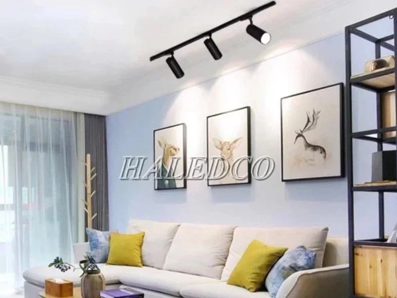 Chiếu rọi tranh phòng khách